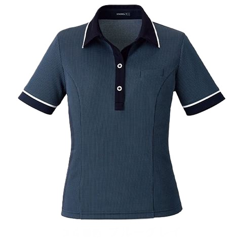 AD8804 ポロニット